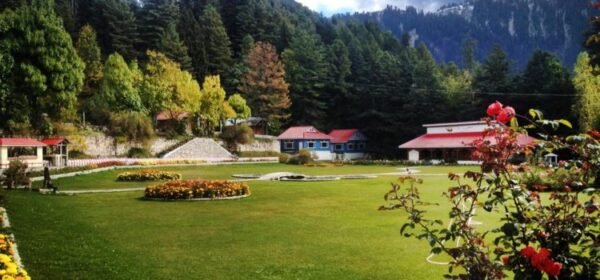 Pine Park Hotel